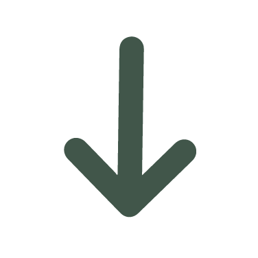 pijl